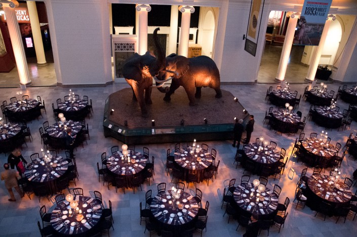 Corporate event photography at Chicago Natural History Museum Conference Detail Photograph from above